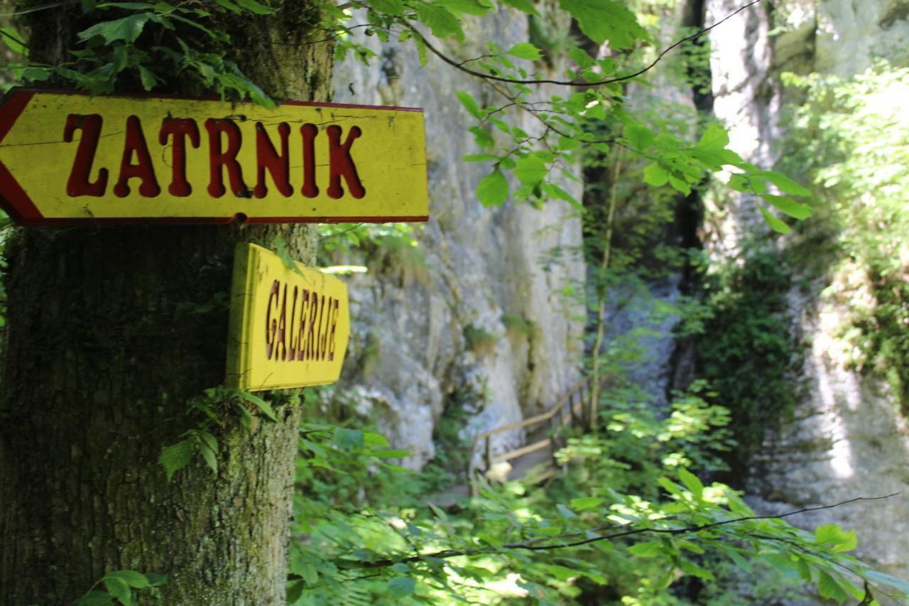 Homestead Zatrnik Near Bled Exterior foto